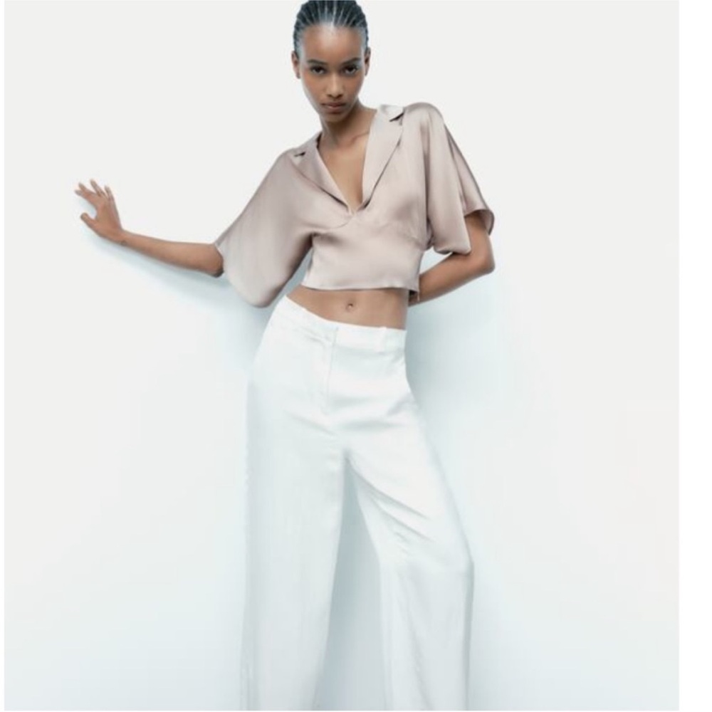 Zara Cream/Gray Silver/Gold Crop Collared Top